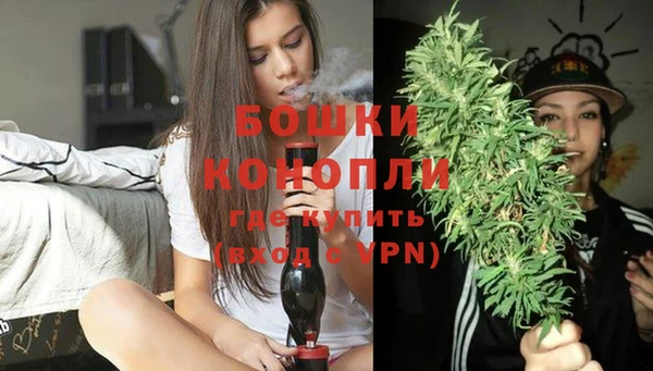 молекула духа Переславль-Залесский